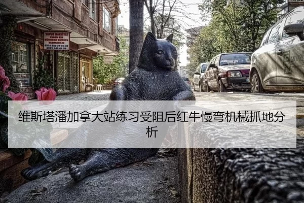 维斯塔潘加拿大站练习受阻后红牛慢弯机械抓地分析（xingkong）